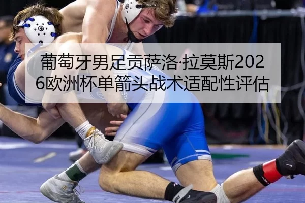 pu-tao-ya-nan-zu-gong-sa-luo-la-mo-si-ou-zhou-bei-dan-jian-tou-zhan-shu-shi-pei-xing-ping-gu-2-480.jpg