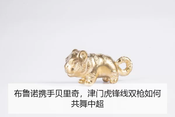布鲁诺携手贝里奇，津门虎锋线双枪如何共舞中超