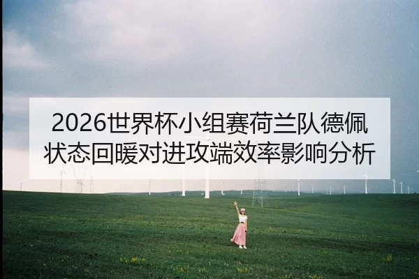 shi-jie-bei-xiao-zu-sai-he-lan-dui-de-pei-zhuang-tai-hui-nuan-dui-jin-gong-duan-xiao-lv-ying-xiang-fen-xi-2-760.jpg
